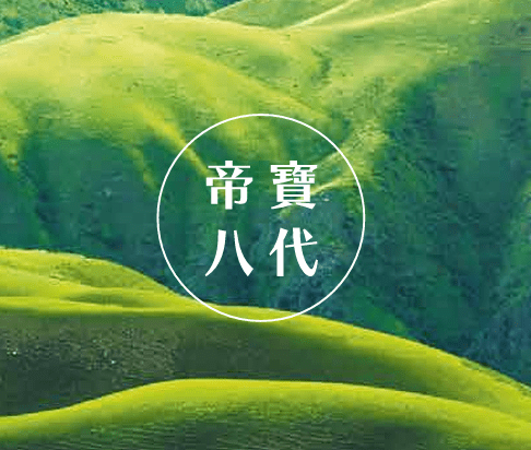 帝寶PVC
